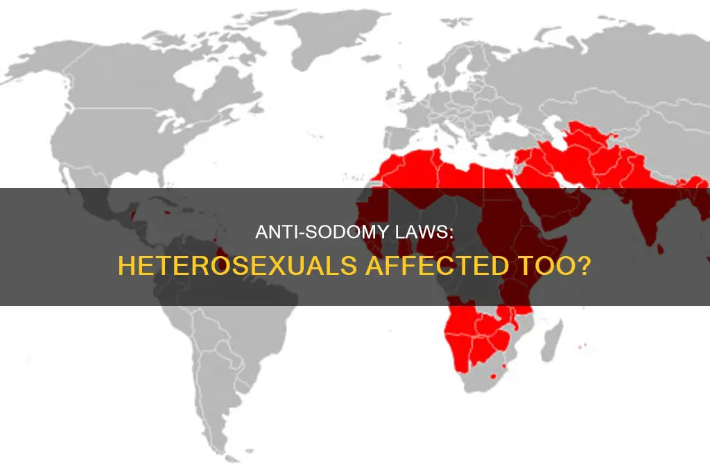do anti sodomy laws pertain to heterosexual