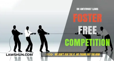 Do Antitrust Laws Truly Foster Free Competition?