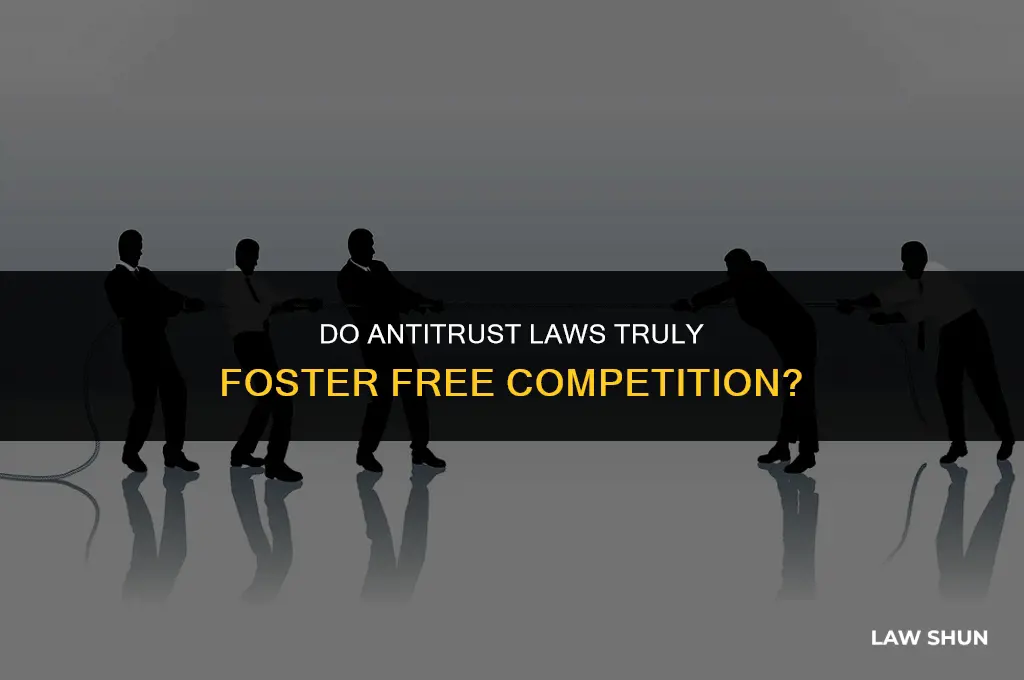 do antitrust laws foster free competition