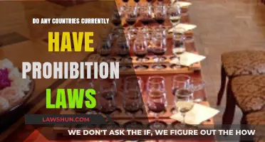 Prohibition Laws Today: Which Countries Still Ban Alcohol?