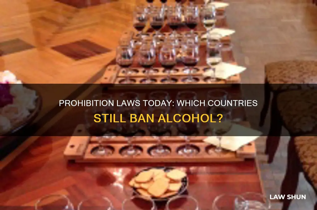 do any countries currently have prohibition laws