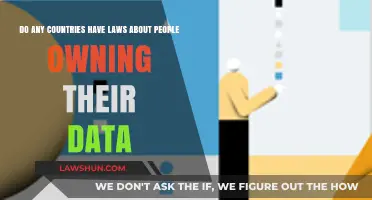 Who Owns Your Data? Exploring Global Laws on Personal Data Rights
