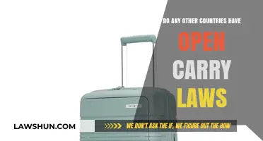 Exploring Global Open Carry Laws: Which Countries Allow It?