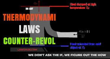 Exploring Thermodynamic Laws: A Counter-Revolution in Progress