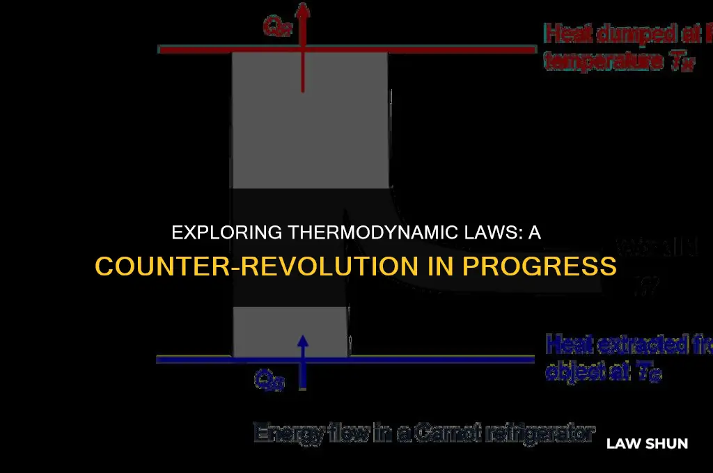 do any thermodynamic laws counter-revolution