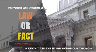 Appellate Courts: Deciding Questions of Law vs. Fact Explained