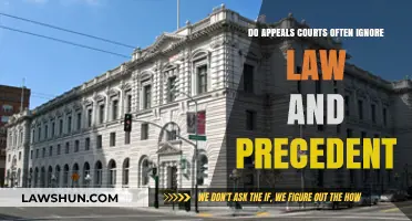 Do Appeals Courts Often Ignore Law and Precedent?