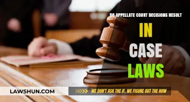Appellate Court Decisions: Creating Case Laws?