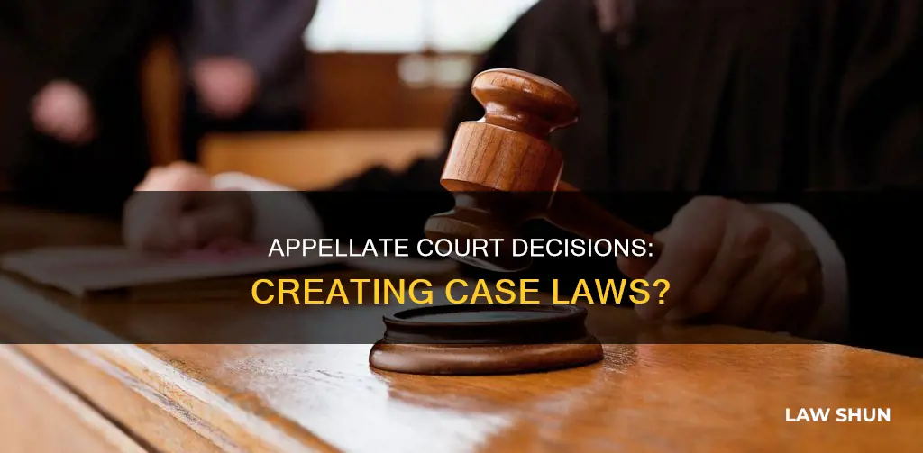 do appellate court decisions result in case laws