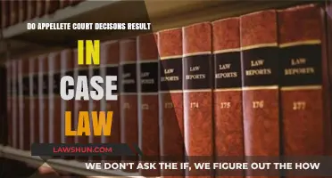 Appellate Court Decisions: Creating Case Law?