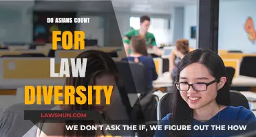 Exploring the Inclusion of Asian Representation in Legal Diversity Initiatives