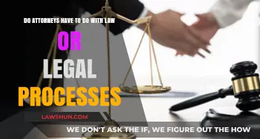 Understanding Attorneys' Role in Law and Legal Processes