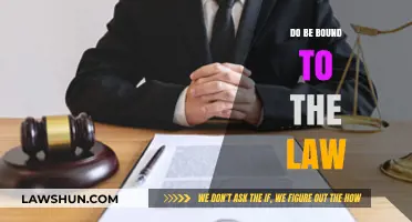 Legal Obligations: Understanding the Binding Force of Law