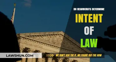 Interpreting the Law: The Discretion of Bureaucrats in Action