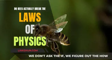 The Physics-Defying Abilities of Bees Explained