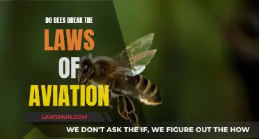 Bees: Defying Aviation Laws and Soaring High