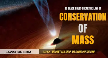 Black Holes: Do They Break Conservation Laws?