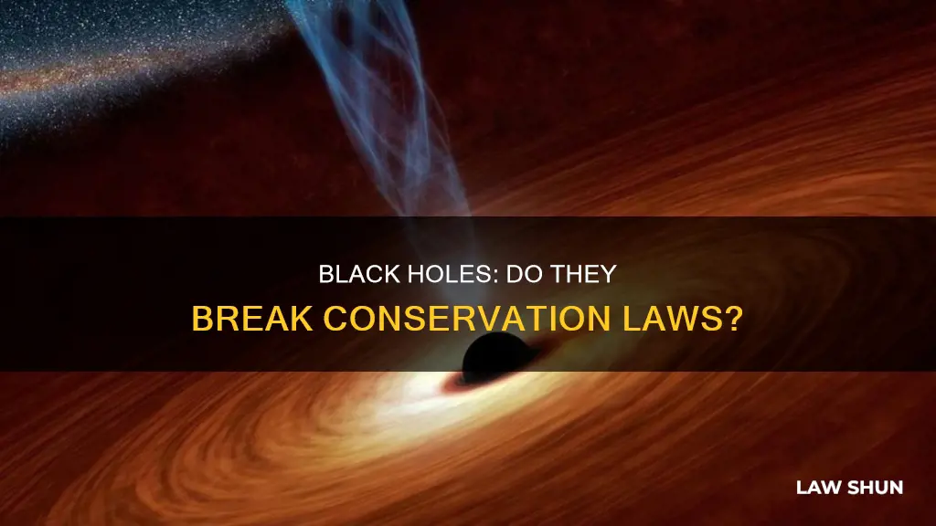 do black holes break the law of conservation of mass