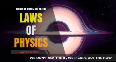 Black Holes: Breaking Laws of Physics?