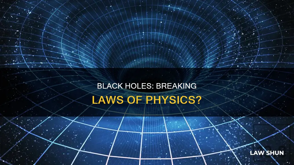 do black holes break the laws of physics