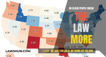 The Myth of Black Criminality: Examining Racial Bias