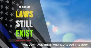 Do Blue Sky Laws Still Exist: A Comprehensive Overview