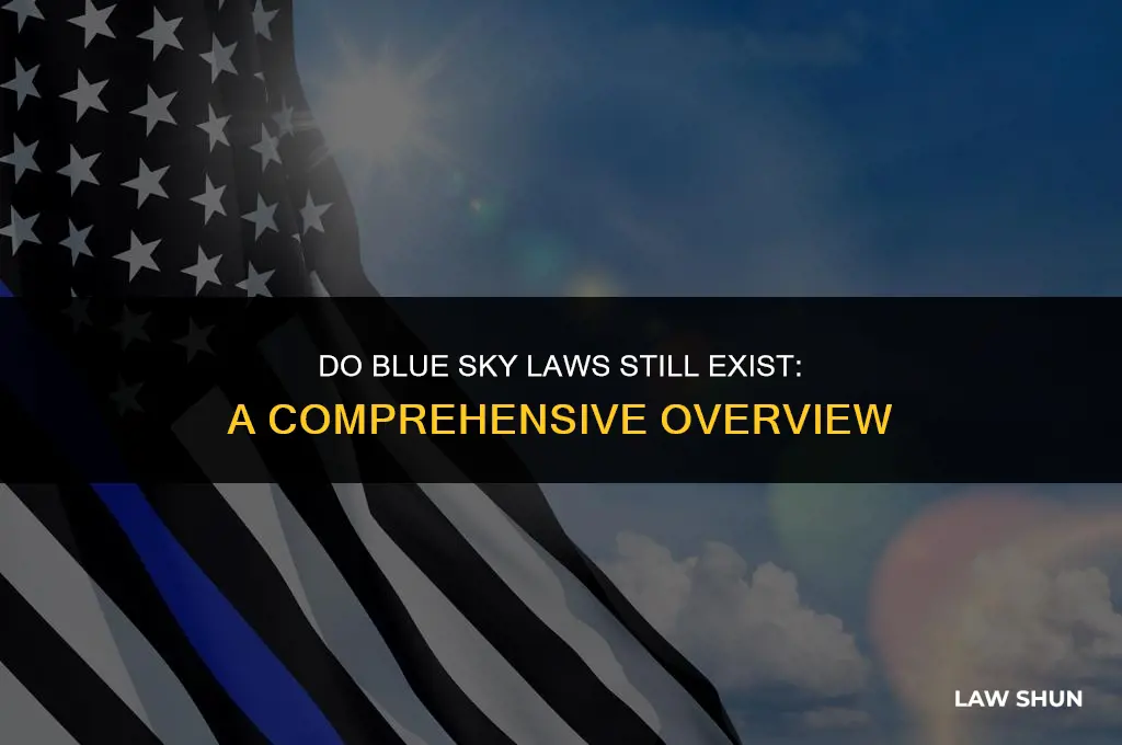 do blue sky laws still exist