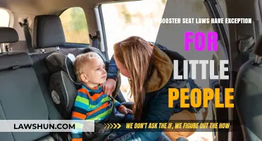 Booster Seat Laws: Exceptions for Little People Explained