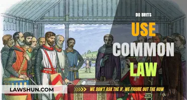 Common Law: The British Legal System's Foundation