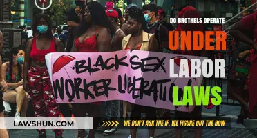 Brothels and Labor Laws: Exploring Legal Protections for Sex Workers