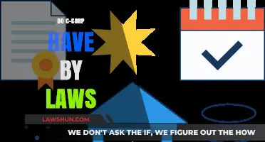 Understanding C-Corp Bylaws: A Guide to Corporate Governance