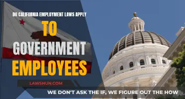 Employment Laws: California's Rules for Government Workers