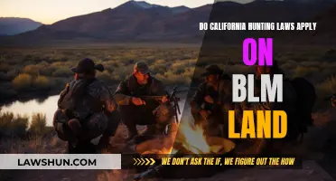 Hunting Laws in California: BLM Land Rules Explained