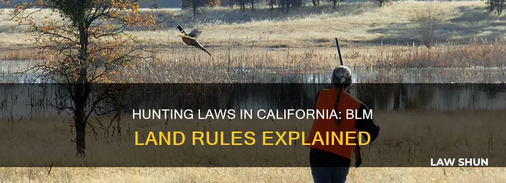 do california hunting laws apply on blm land