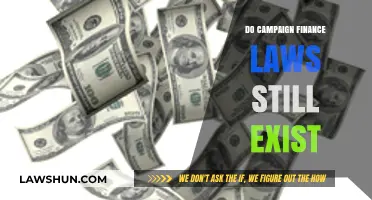 Do Campaign Finance Laws Still Exist? A Comprehensive Overview