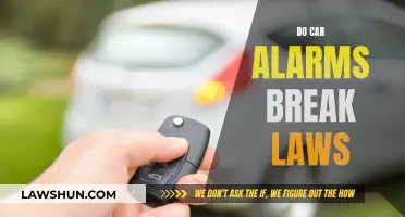 Car Alarms: A Noisy Nuisance or Legal Necessity?