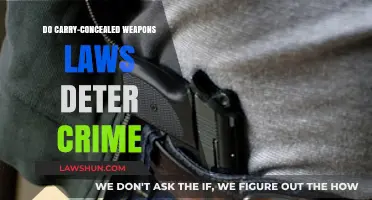Concealed Carry Laws: Crime Deterrent or Public Safety Risk?
