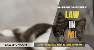 Are Cat Vaccinations Legally Required in Michigan? What Owners Need to Know