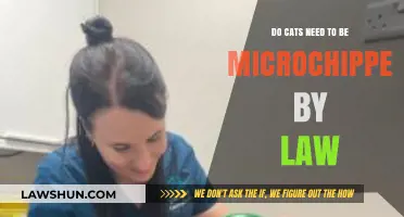 Legal Requirements for Microchipping Cats: What Owners Need to Know