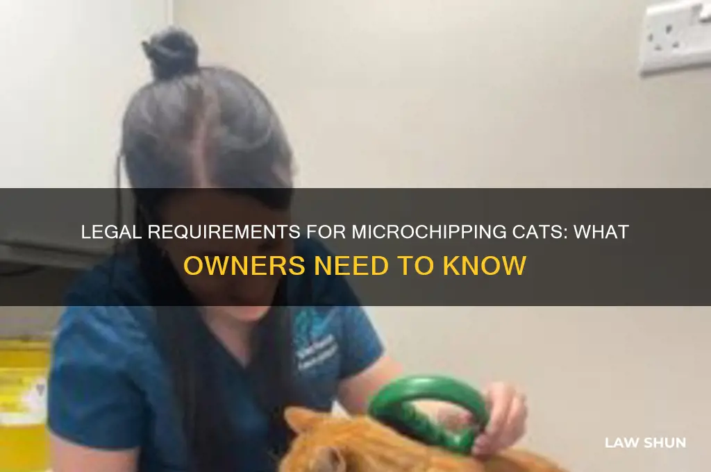 do cats need to be microchipped by law