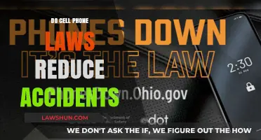 Examining the Impact of Cell Phone Laws on Road Safety