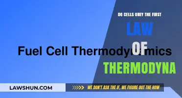 Cells and the First Law of Thermodynamics: A Complex Dance
