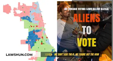Chicago Voting Laws: Do They Permit Illegal Aliens to Cast Ballots?