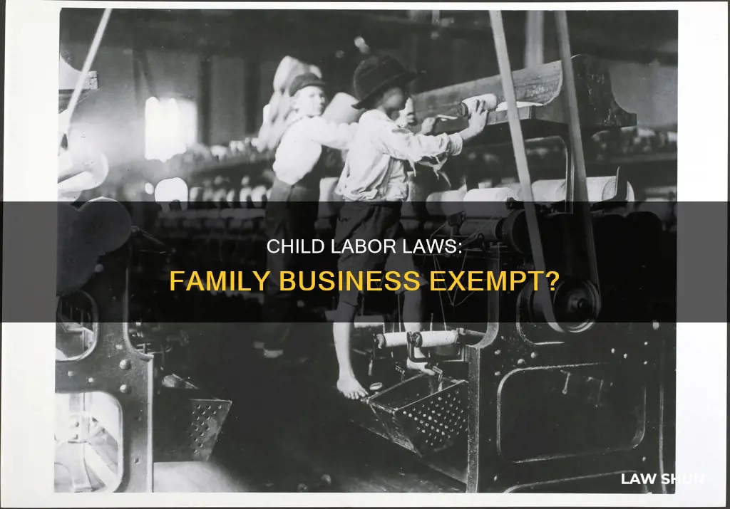 do child labor laws apply to family business