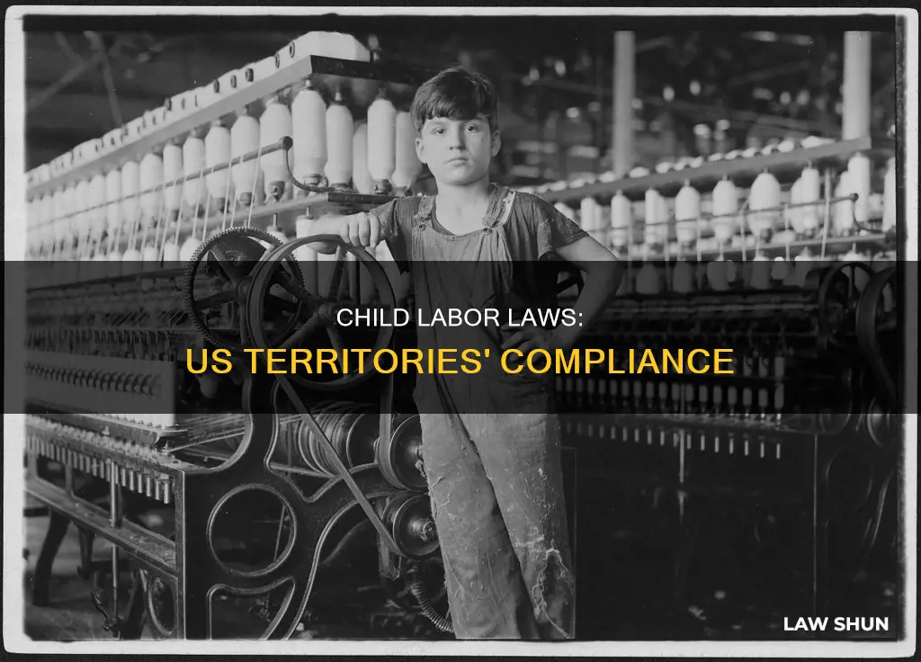 do child labor laws apply to the us territories