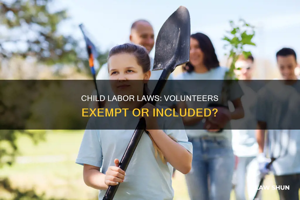 do child labor laws apply to volunteers