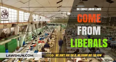 Liberal Roots of Child Labor Laws: A Historical and Political Analysis