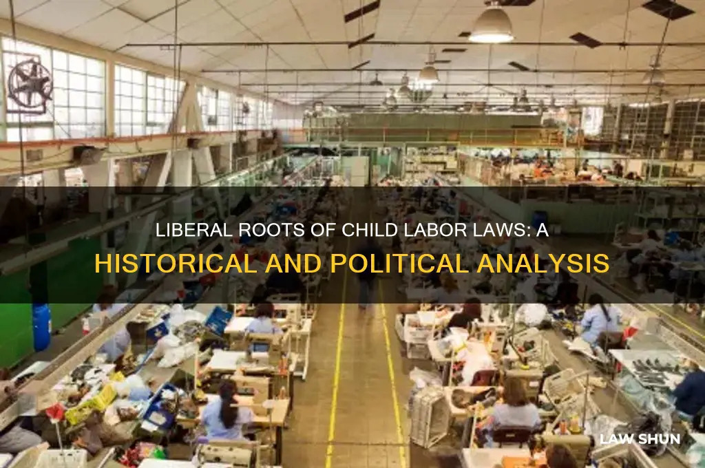 do child labor laws come from liberals
