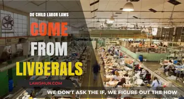 Child Labor Laws: Liberal Roots or Bipartisan Effort?