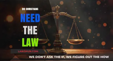 Do Christians Need the Law? Exploring Grace, Obedience, and Freedom